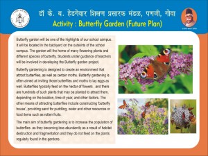 Buterfly Garden Future Plan