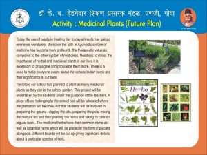 Medicinal Plants Future Plan